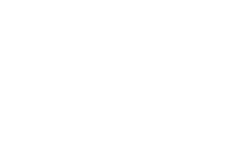 Zye